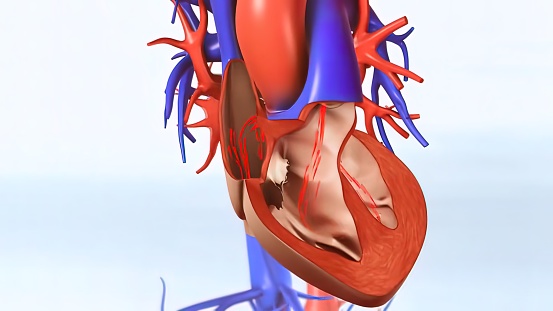 How To Stop Heart Palpitations UK